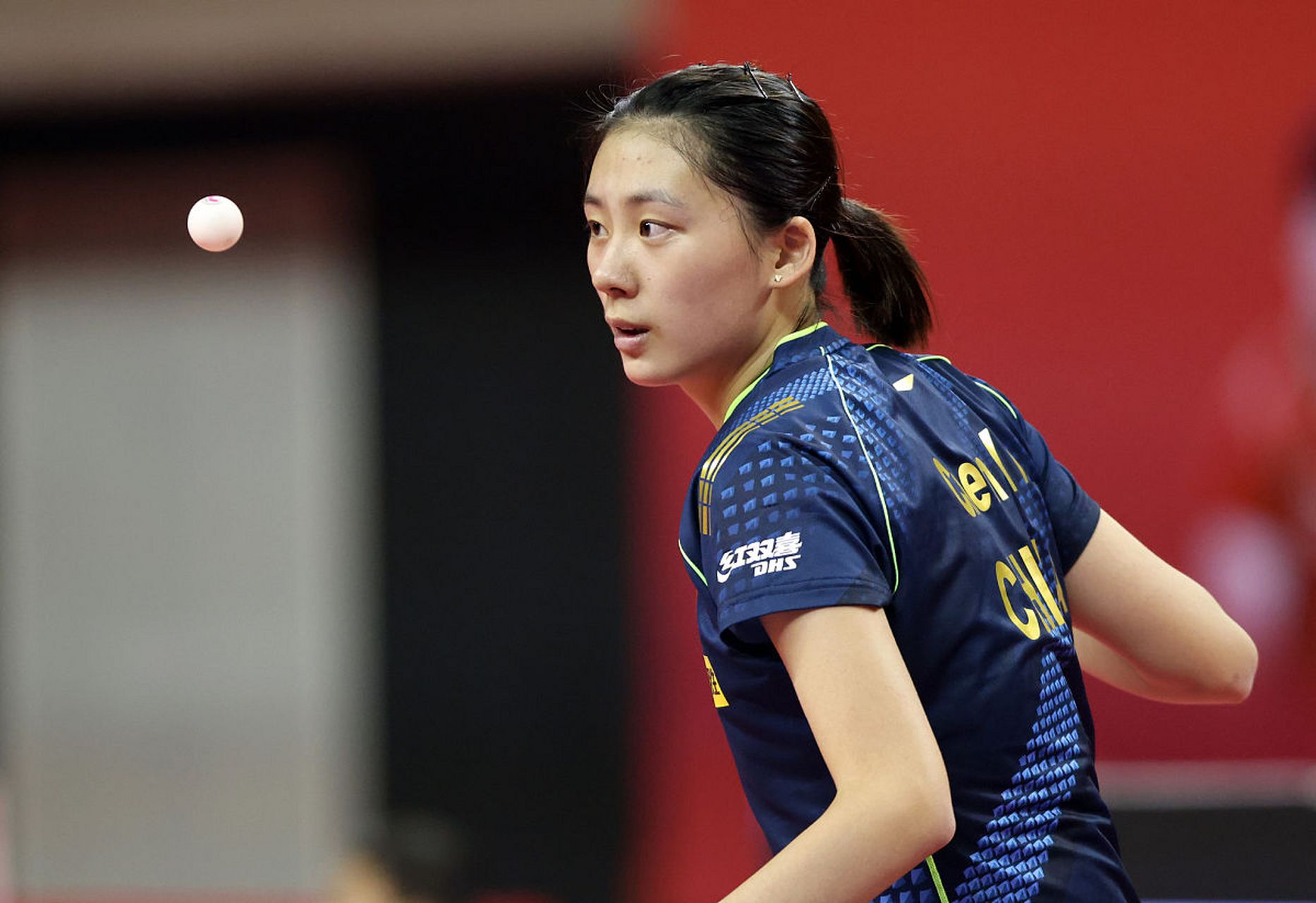 高诗岩引领 高诗岩引领