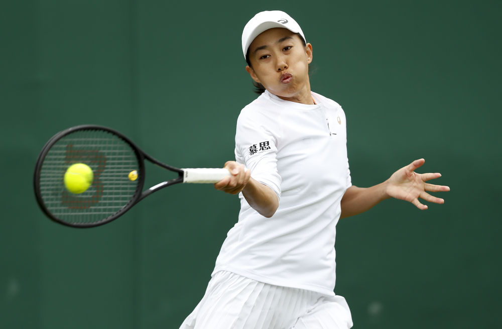 理透明度的 理透明度的