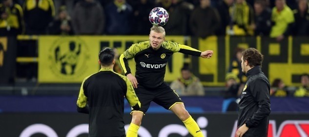 动向引发了 动向引发了